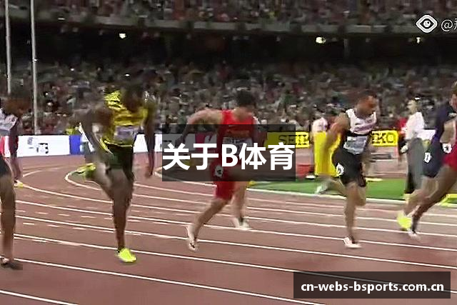 关于B体育